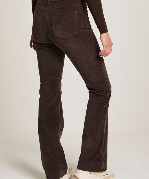 Para Mi Jade Velvet Pant Deep Brown