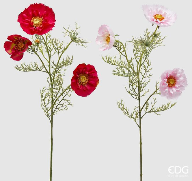Hovedbilde EDG Cosmos Ramo - Kunstige ...